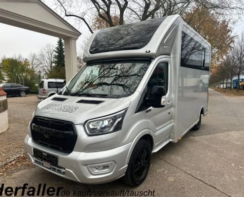 neues Startbild Ford Transit silber