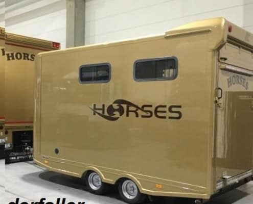 Startbild Steinsberger 3 Pferde und Wohnung gold aus 2009